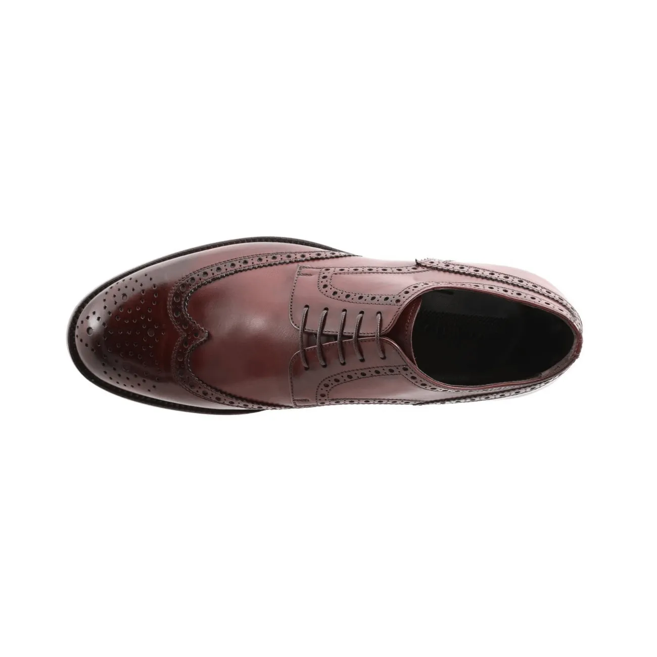 Bellesi Wingtip Leather Men's Derby, Brown - Buy Online, Best Price | |