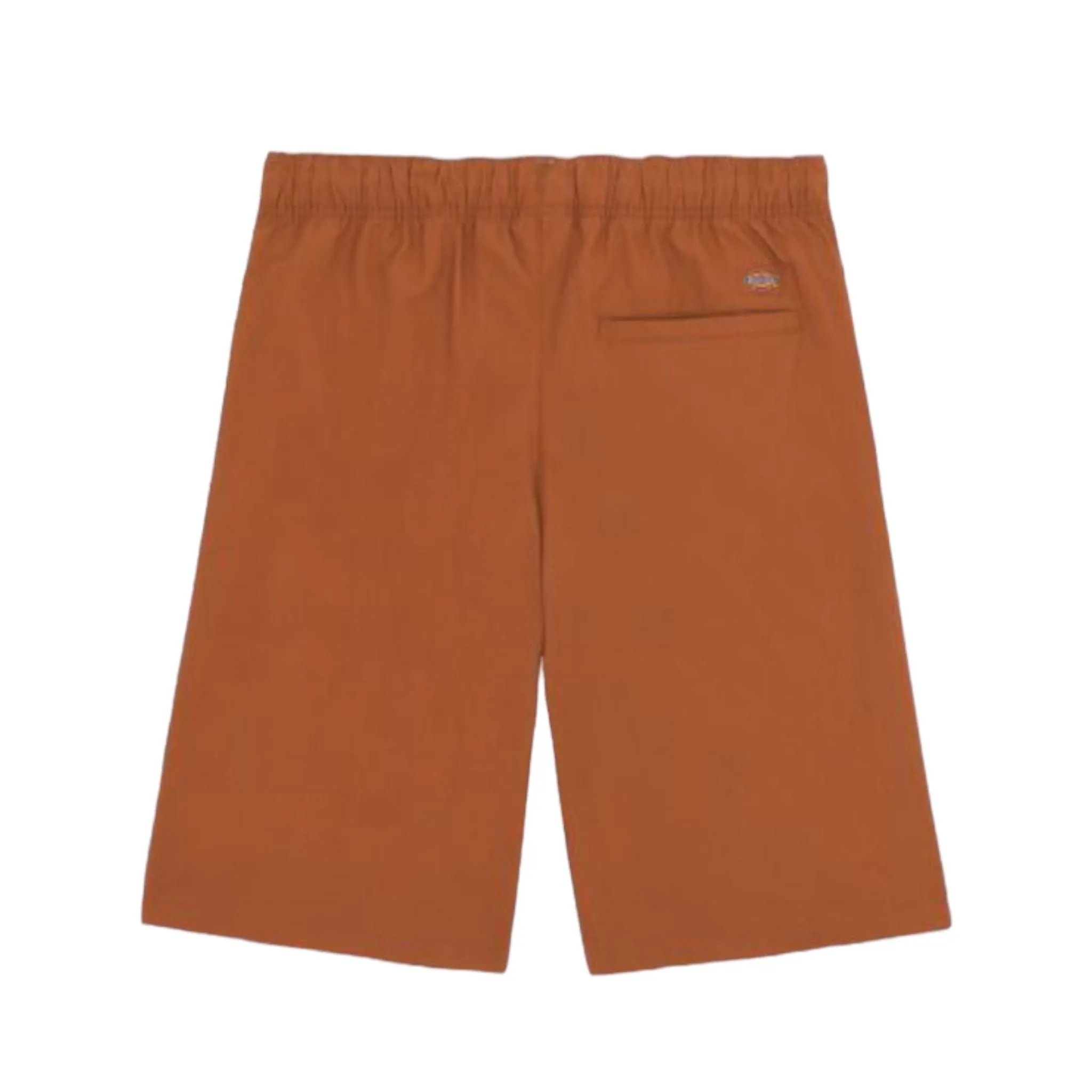 Dickies Fishersville Shorts Light Brown Mocha