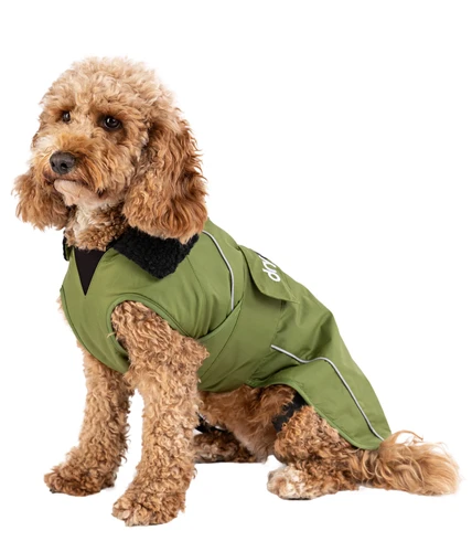 dryrobe Dog - Forest Green Black