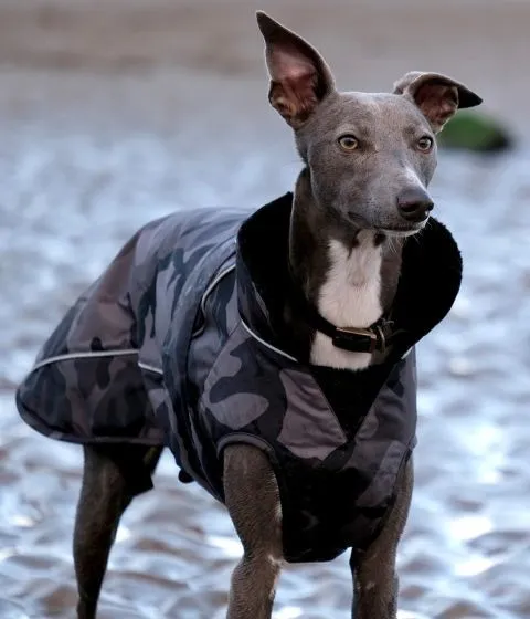 Dryrobe Dog Robe - Black Camo