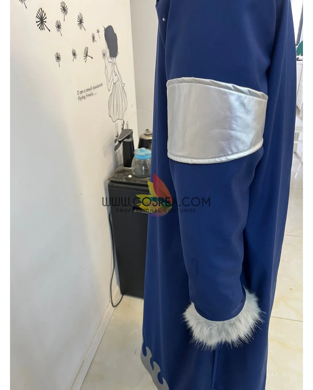 Fairy Tail Jellal Fernandez Costume