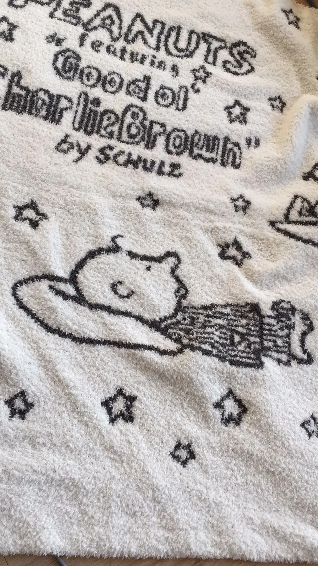 Snoopy and Charlie nap blanket - comfortable and stylish option for napping.